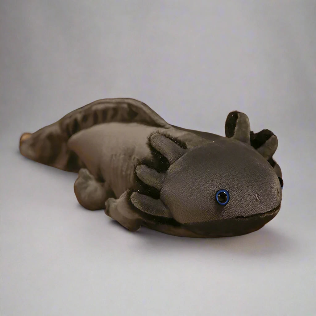 44377331400916|44377331433684