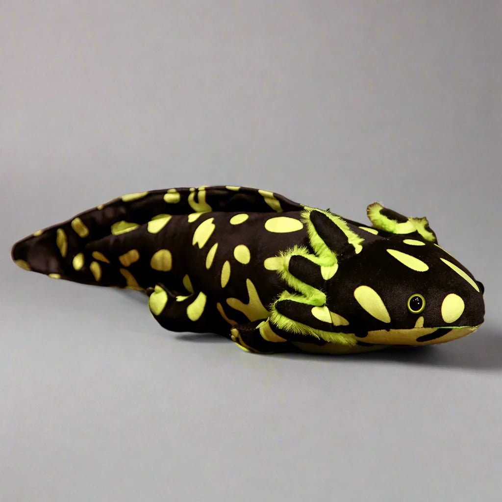 44377331597524|44377331630292