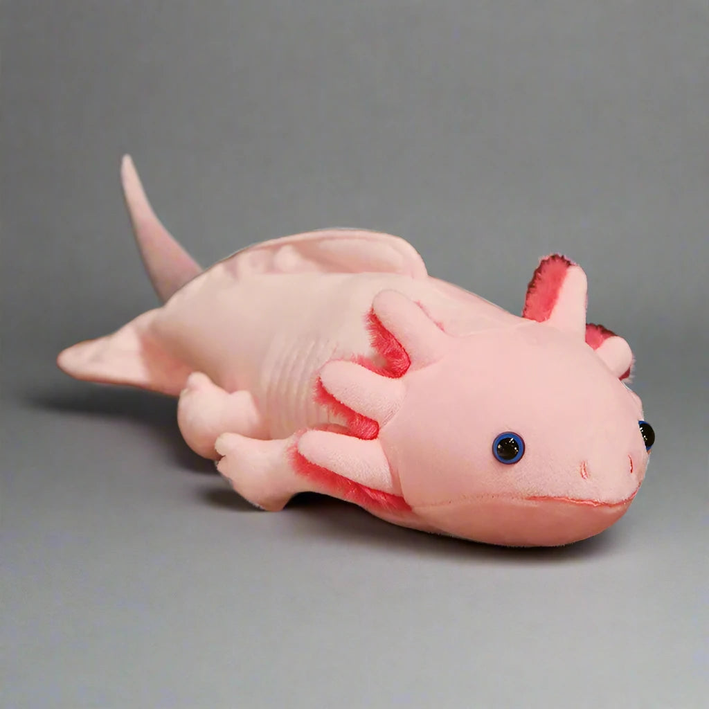 44377331269844|44377331302612