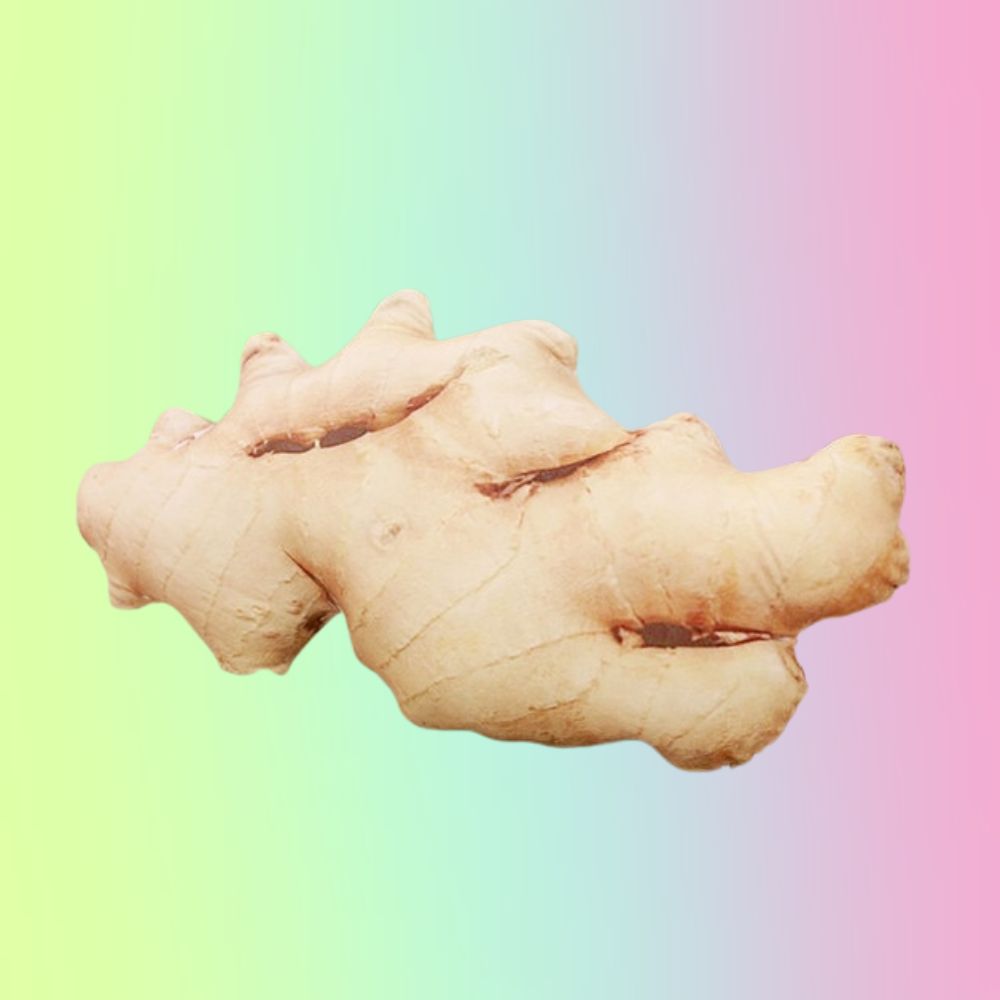 Peluche de almohada relleno de felpa con forma de vegetal gigante