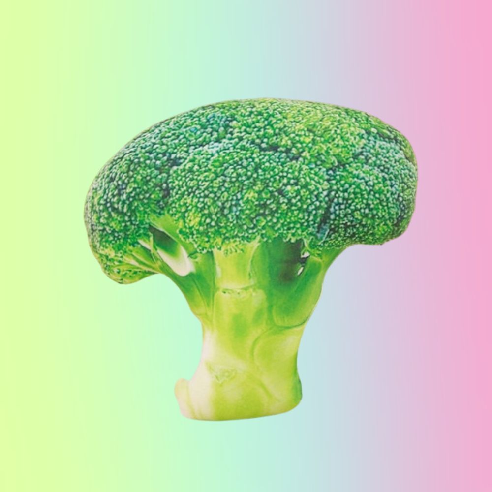 Peluche de almohada relleno de felpa con forma de vegetal gigante