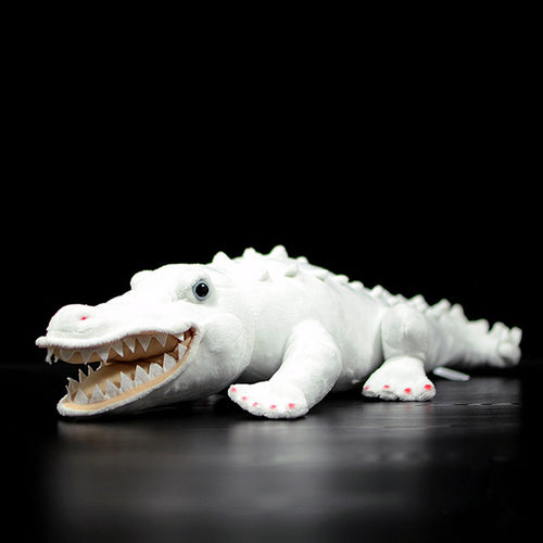 Albino Alligator Plush Toy White Stuffed Animals Teddy